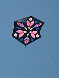 L0020191