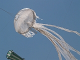 L0020196