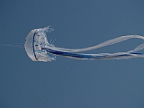 L0020201