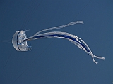 L0020202