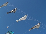 L0020218