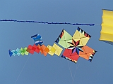 L0020221