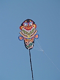L0020224