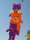 L0020228