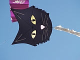 L0020229