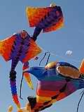 L0020230