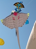 L0020231