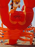 L0020243