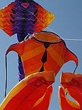 L0020244