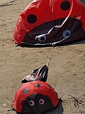 L0020251