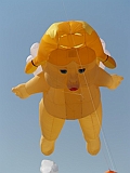 L0020263