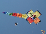L0020271