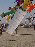 L0020272
