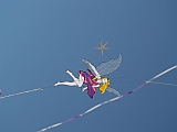 L0020273