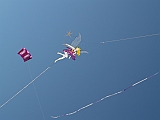 L0020274
