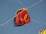 L0020275