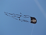 L0020279