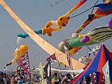 L0020283