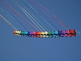 L0020288
