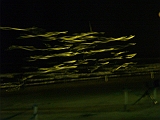 L0020328