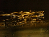 L0020329