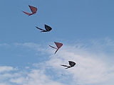 L0030404