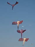 L0030463
