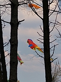 L0030464