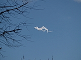L0030465