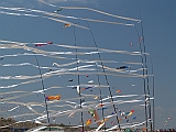 L0030472