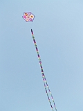 L0030479