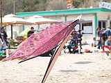 L0030486