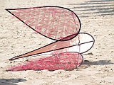 L0030487