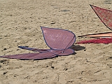 L0030488