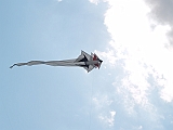 L0030499