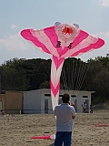 L0030504