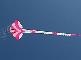 L0030507