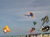 DIEPPE11092010-00037