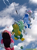 DIEPPE12092010-00278
