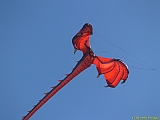 DIEPPE12092010-00300