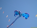 DIEPPE12092010-00307