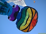 DIEPPE12092010-00311