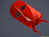 DIEPPE13092010-00052