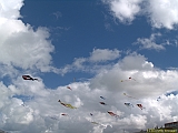 DIEPPE16092010-00017