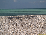 DIEPPE17092010-00206