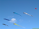 DIEPPE17092010-00234