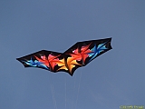 DIEPPE18092010-00042