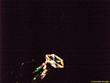 DIEPPE18092010-00073
