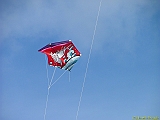 DIEPPE19092010-00033