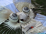 IMG_5856
